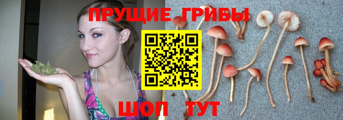 Псилоцибиновые грибы прущие грибы Михайловка
