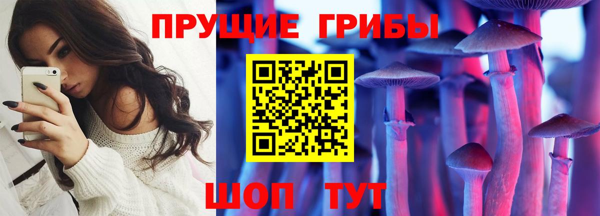 Псилоцибиновые грибы Cubensis  Вход с VPN  Михайловка 